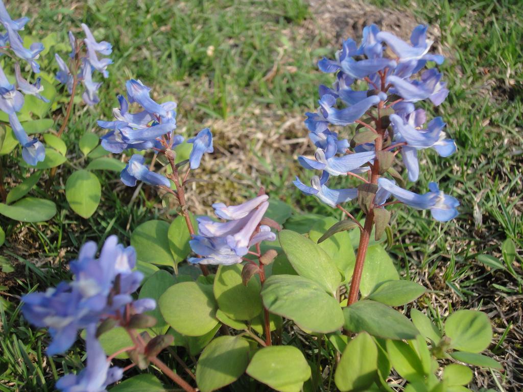 Landhaus Farm Anima No Sato Abashiri