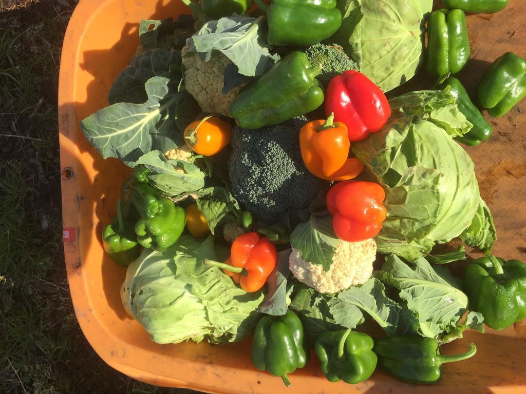 Landhaus Farm Anima No Sato Abashiri