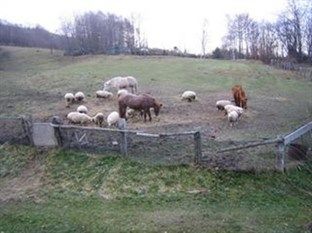 Farm Anima No Sato Landhaus *